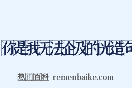 你是我无法企及的光造句是什么意思的图片